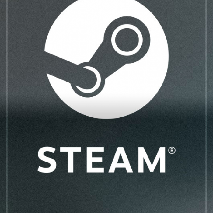 Steam Cüzdan 5 USD